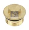 DT 2.65074 Cap, wheel bearing